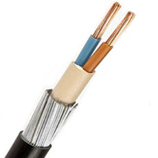 get 10mm 2 core cu xlpe pvc swa armoured cable quotation