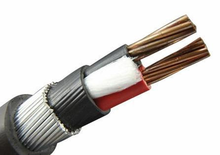 how much 2 core 25mm swa cable price