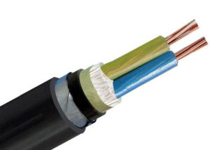 4mm 2 core armoured cable price