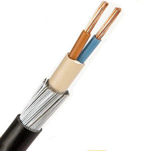 25mm 2 core armoured cable